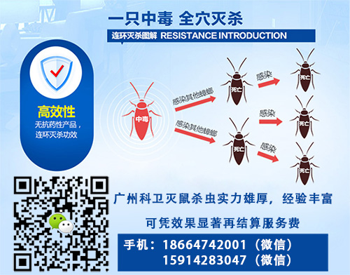 0032I7MPzy7b9kKD2JX11