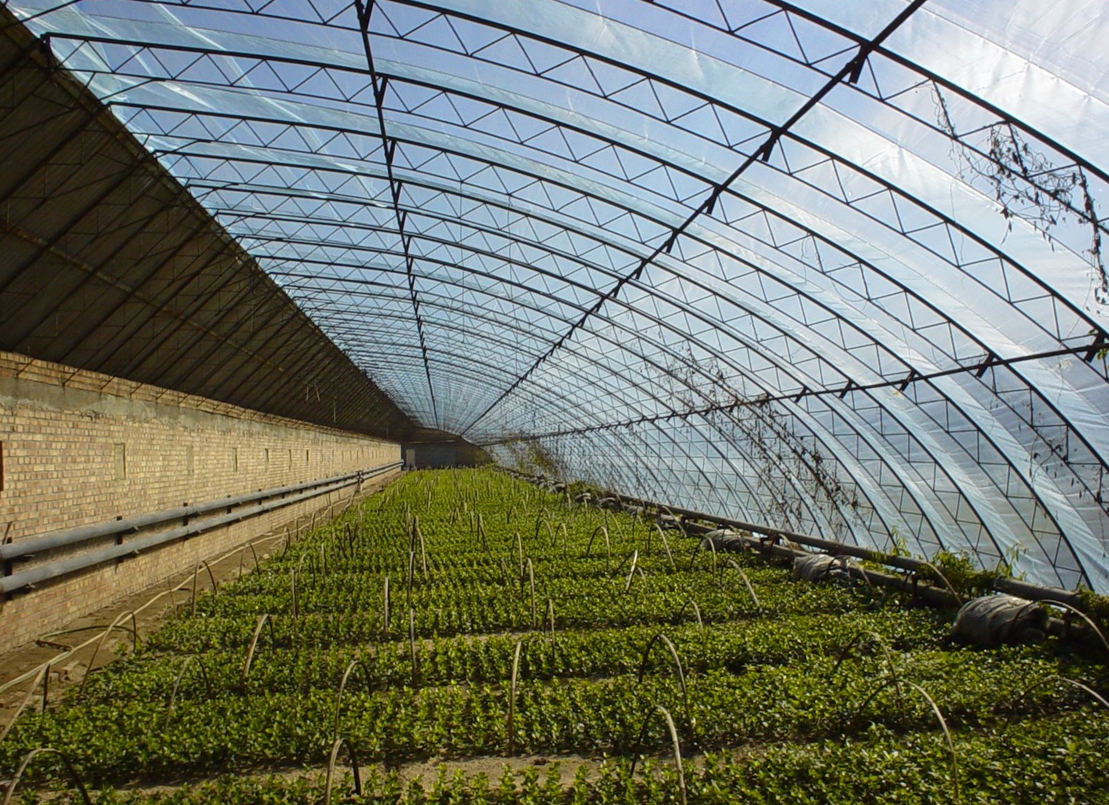 潍坊锁扣pc阳光板厂家直销