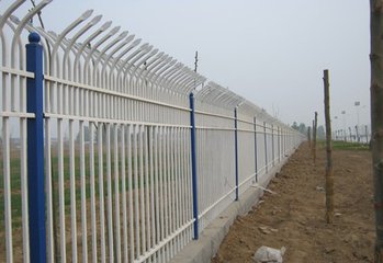 t01d30f2ded8a9495a2.jpg