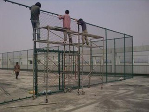 t01898bea7b6b7fcfc8.jpg