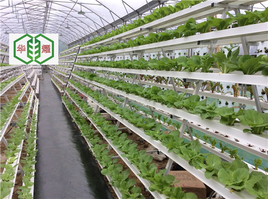 温室立柱式无土栽培槽新品上市,河北华耀生产