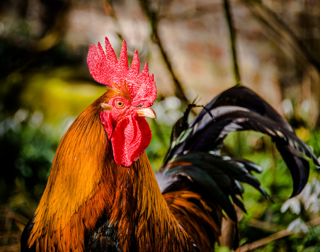 武汉周边生态农庄一日游开心果园迎立秋