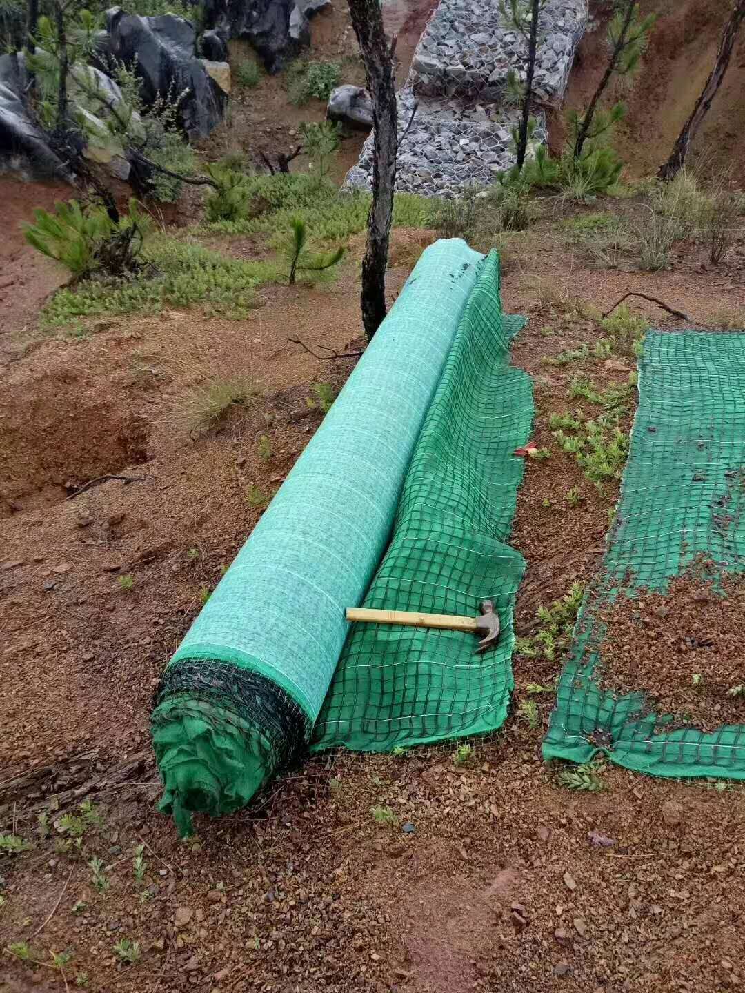 恩施厂家批发环保植生毯抗冲生物毯高速公路绿化护坡