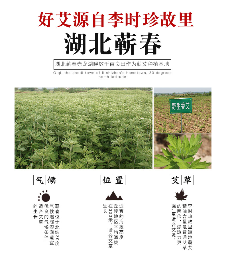 蕲春艾葆蓓五年陈艾条