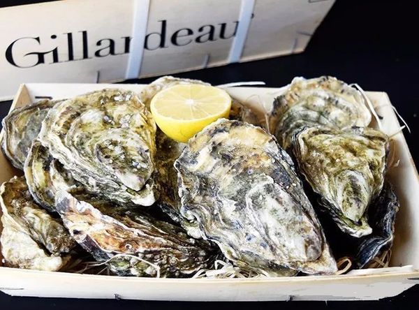 吉娜多生蚝青岛进口清关报关,gillardeau,oyst