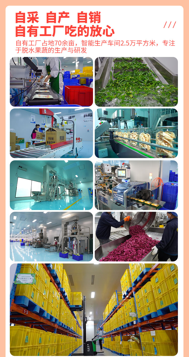 FD火龍果_06.jpg
