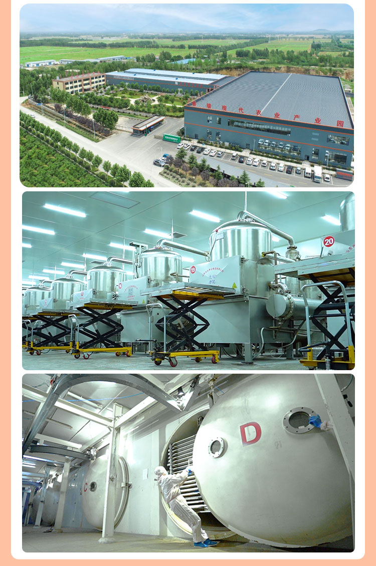 FD火龍果_07.jpg