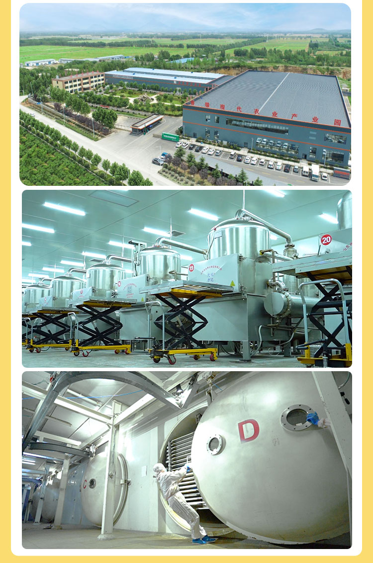 VF黃桃_07.jpg
