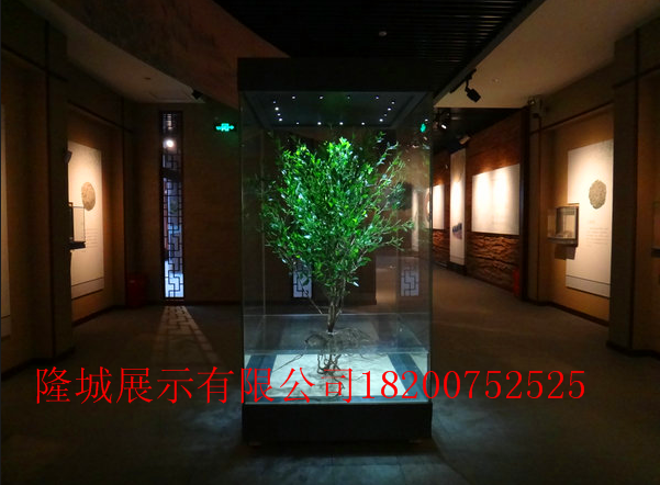 独立高柜0003.png