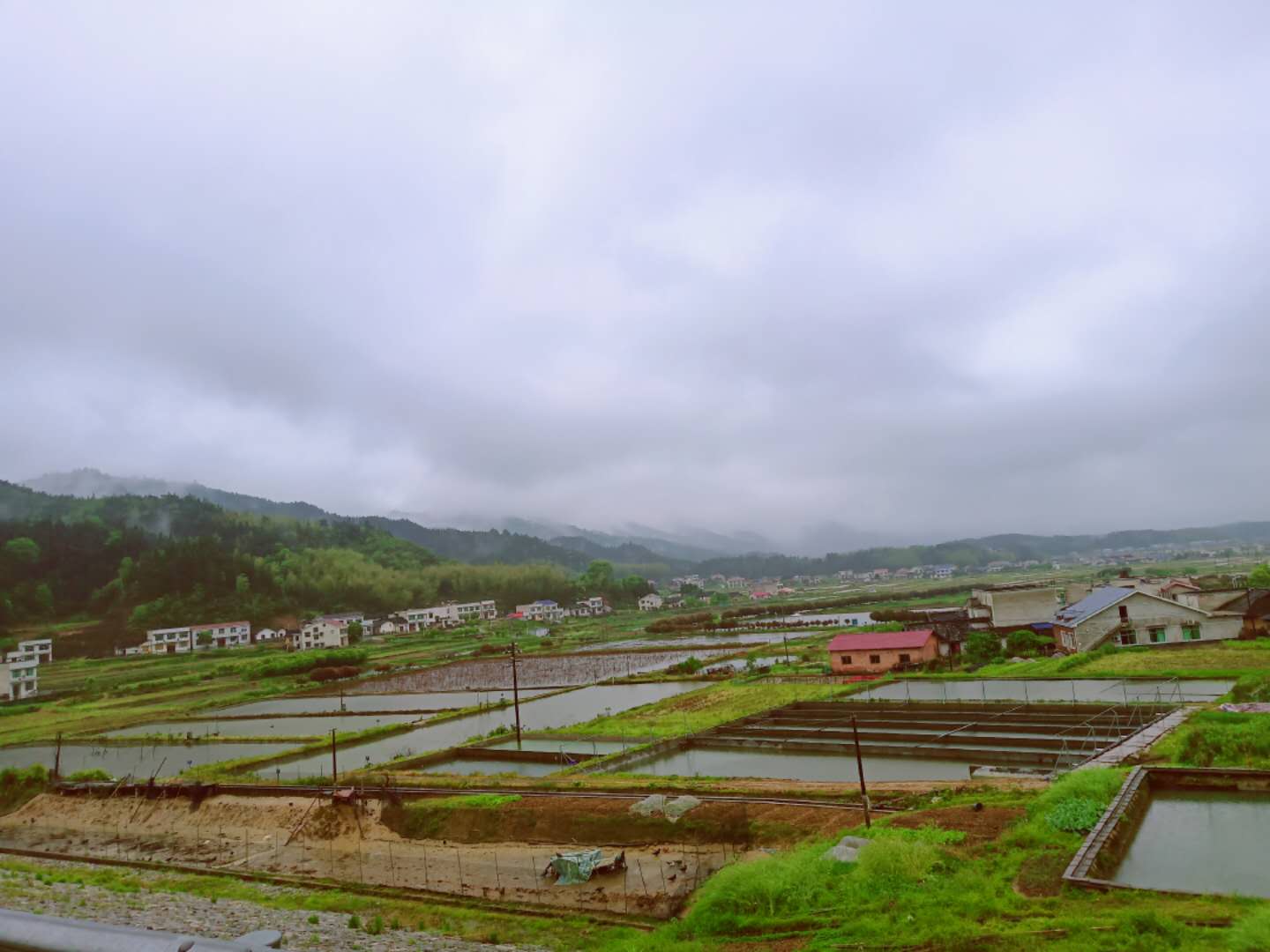 微信图片_20200411094540.jpg