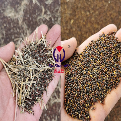 菜籽精选机,种子精选机,水稻精选机