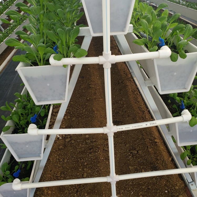 邢台温室草莓种植槽立体栽培有哪些优点