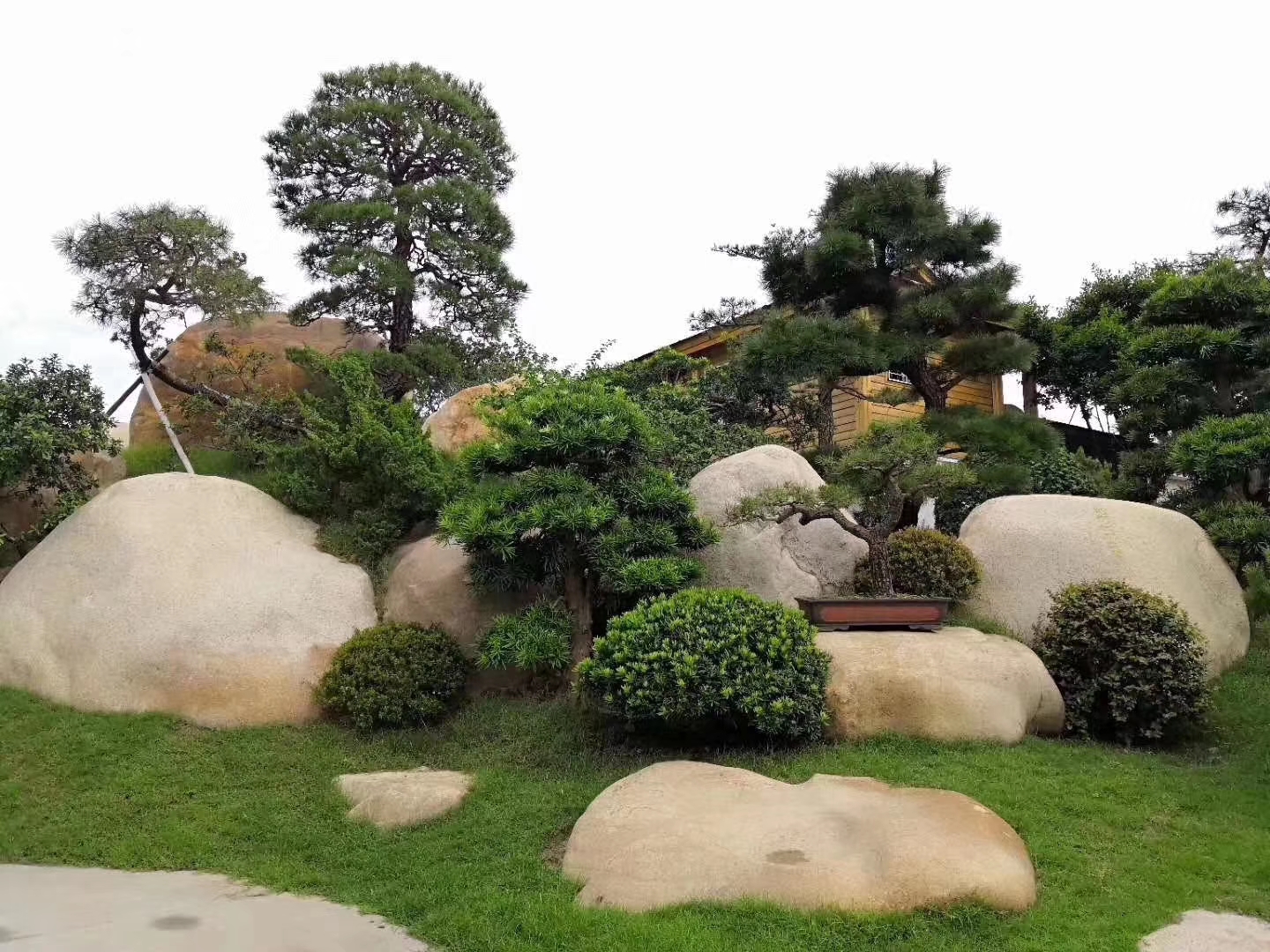 广东吨位麻石,园林造景石供应景观点缀石批发