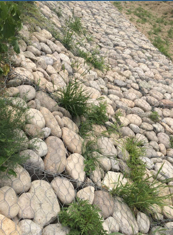 和抗风浪袭击能力:雷诺护垫结构在流速较大的河道上作护坡或挡墙工程