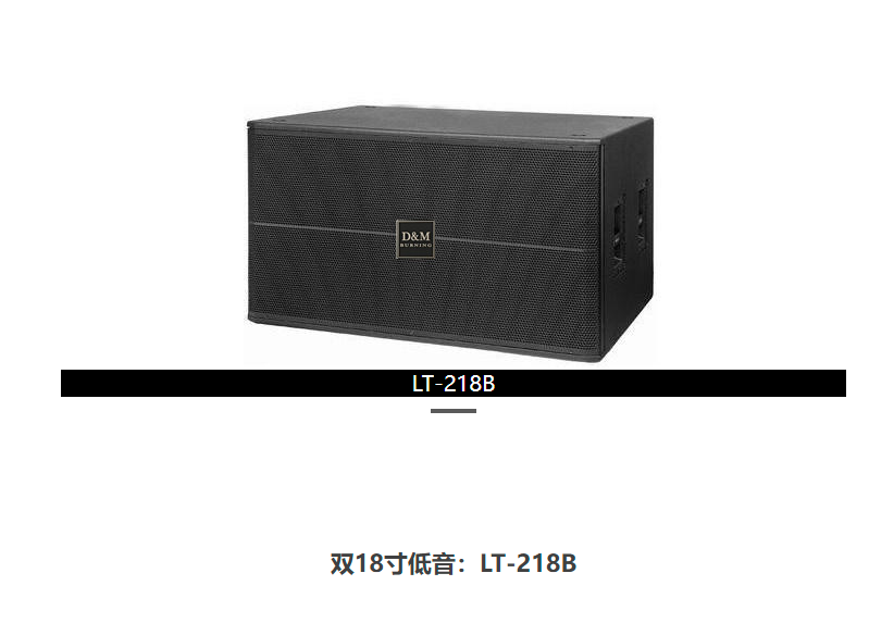 广州双18寸低音LT-218B