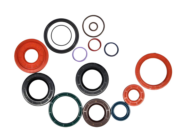 NQKSF oil seal o ring.jpg