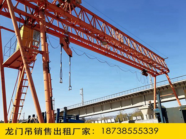 龙门吊厂家 (20).jpg