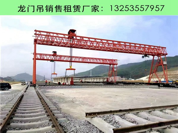龙门吊 (27).jpg