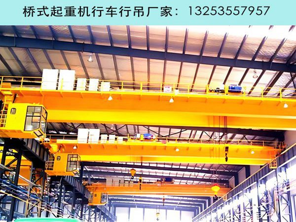 双梁行车行吊 (28).jpg