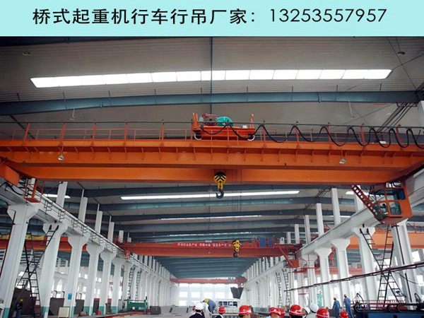 双梁行车行吊 (25).jpg