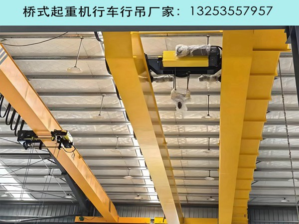 双梁行车行吊 (7).jpg