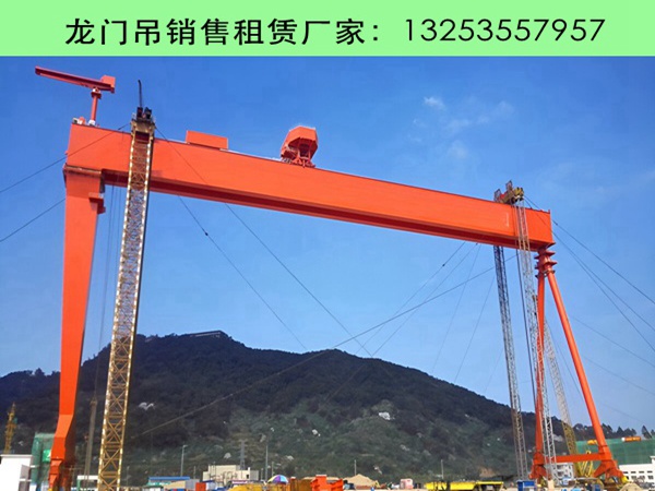 龙门吊厂家 (275).jpg