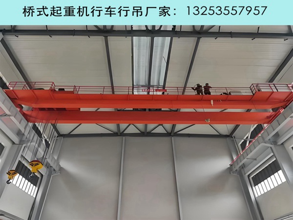 双梁行车行吊 (36).jpg