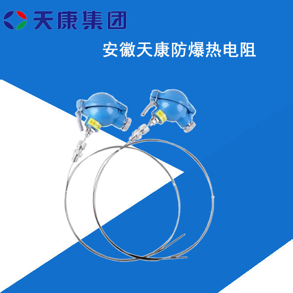 防爆热电阻1.jpg