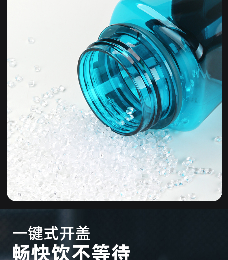790_03.jpg