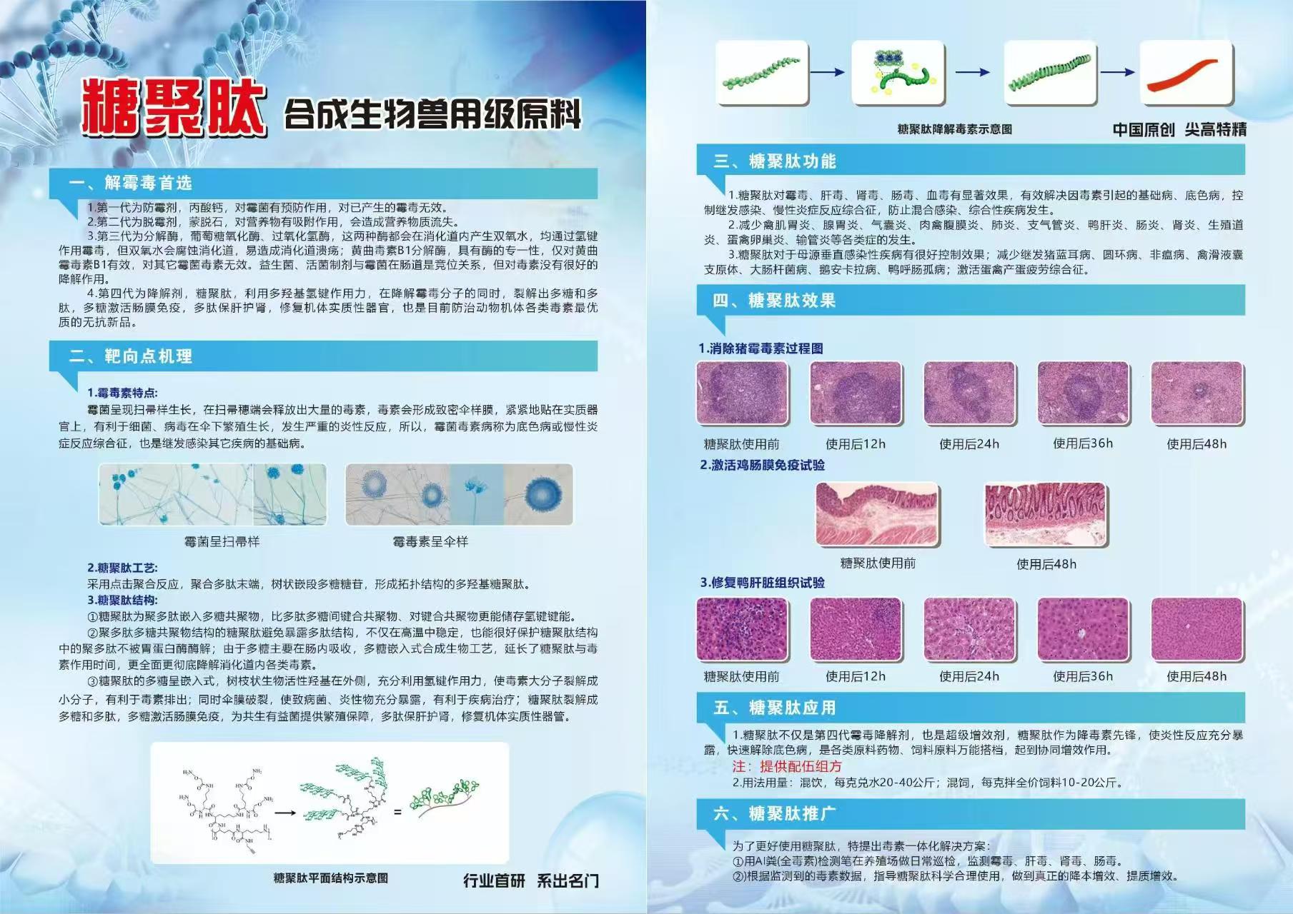 糖聚肽宣传页.jpg