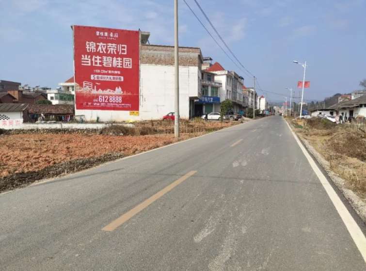 廣東墻體廣告 (23).jpg