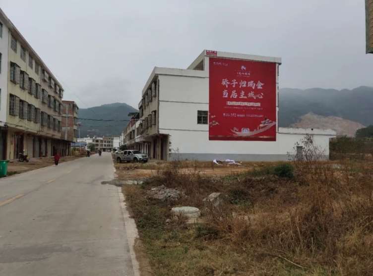 廣東墻體廣告 (29).jpg