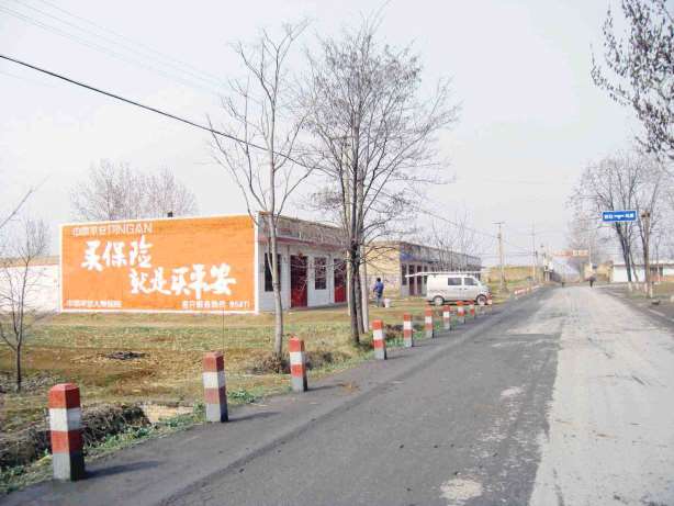 墻體廣告 (69).jpg