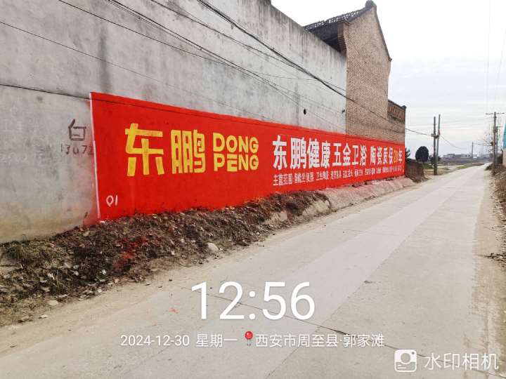 東鵬衛(wèi)浴周至玉林地區(qū)手繪墻體廣告精選照片 (3).jpg