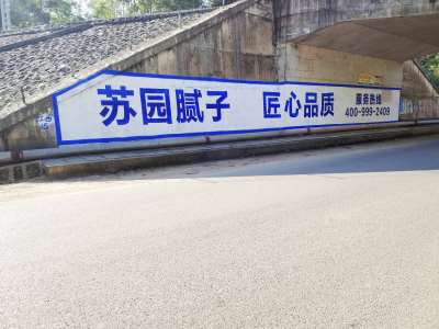 蘇園建材南寧地區(qū)手繪墻體廣告精選照片 (5).jpg