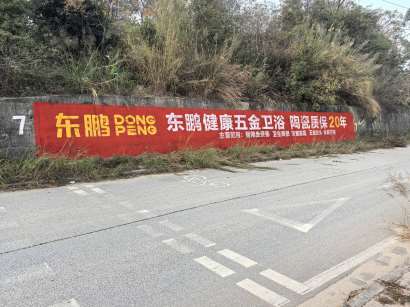 東鵬衛(wèi)浴周至玉林地區(qū)手繪墻體廣告精選照片 (7).jpg