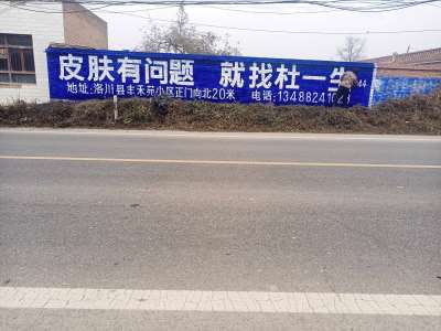 杜一生洛川手繪墻體廣告精選照片 (3).jpg
