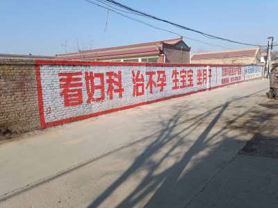 甘肅瑪利亞醫(yī)院甘肅地區(qū)手繪精選照片 (10).jpg