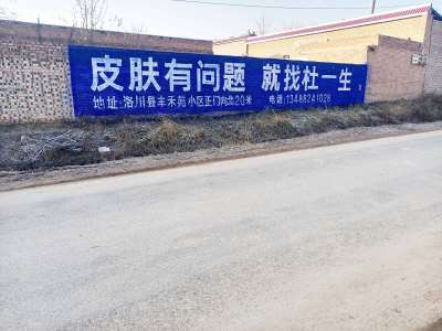 杜一生洛川手绘墙体广告精选照片 (10).jpg