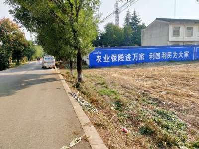 農(nóng)業(yè)保險(xiǎn)寶雞地區(qū)手繪墻體廣告精選照片 (2).jpg