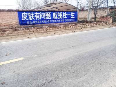杜一生洛川手繪墻體廣告精選照片 (5).jpg