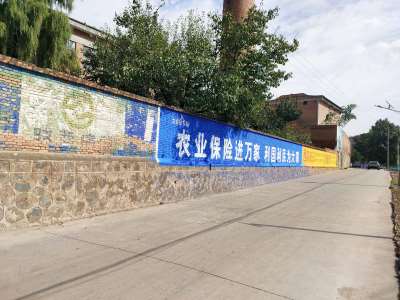 農(nóng)業(yè)保險(xiǎn)寶雞地區(qū)手繪墻體廣告精選照片 (5).jpg