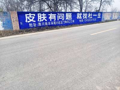 杜一生洛川手繪墻體廣告精選照片 (7).jpg