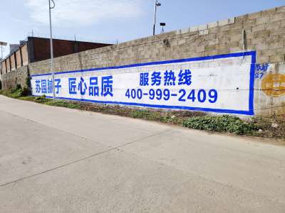 蘇園建材南寧地區(qū)手繪墻體廣告精選照片 (9).jpg