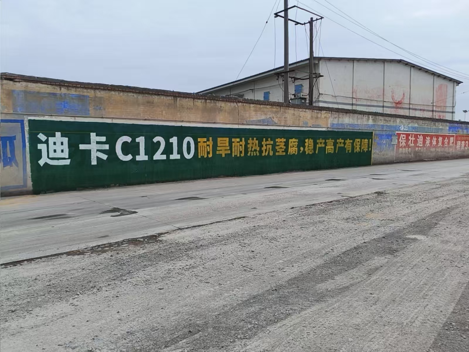 迪卡种子全国手绘墙体广告精选照片 (12).jpg