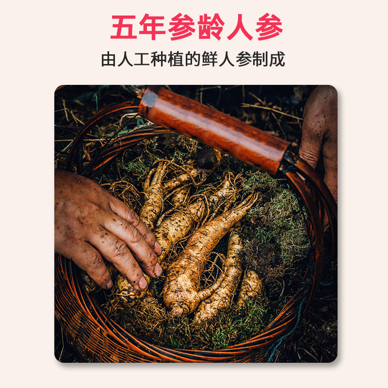 血蛋白多肽红参饮品15905377921 (3).jpg