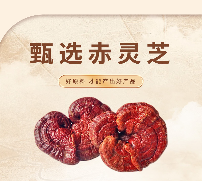 灵芝丹(1)详情_03.jpg