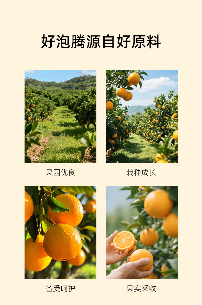 甜橙维生素C泡腾片 (5).jpg