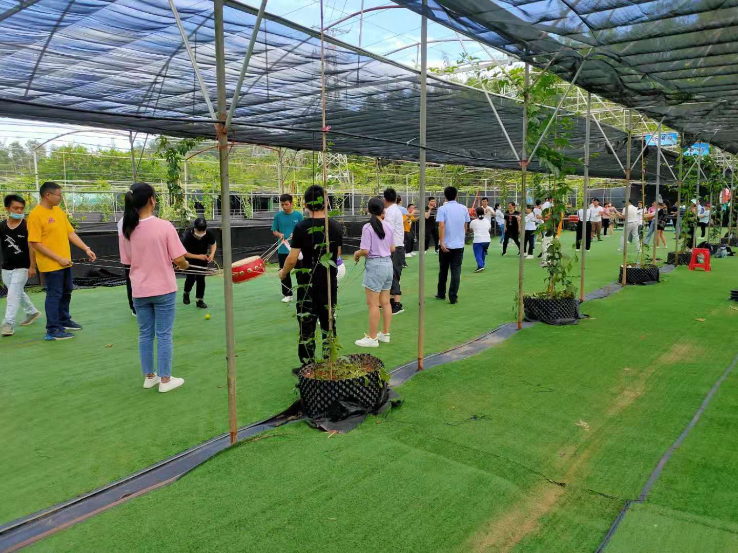 深圳南山野炊燒烤公司拓展聚餐就來九龍生態園