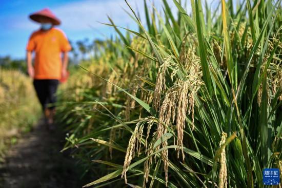 重庆浩强商贸有限公司